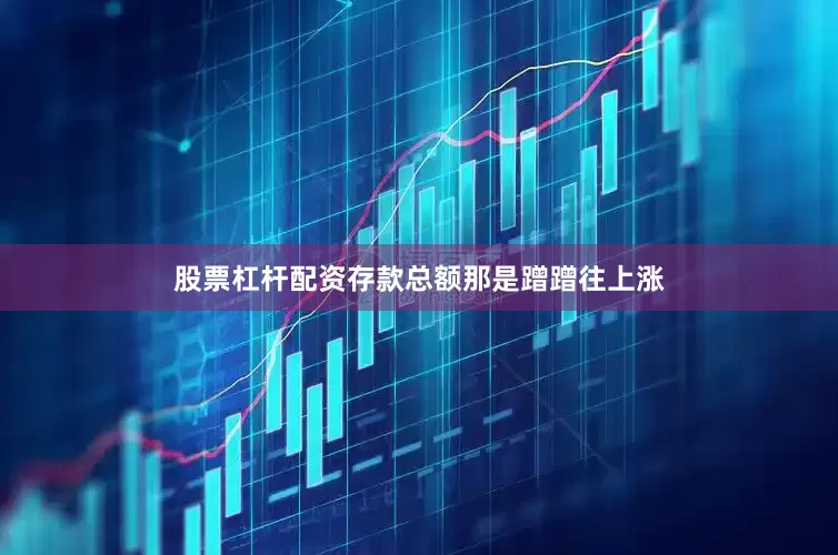 股票杠杆配资存款总额那是蹭蹭往上涨