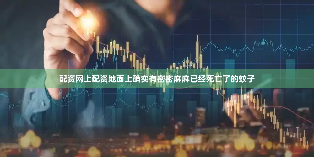 配资网上配资地面上确实有密密麻麻已经死亡了的蚊子