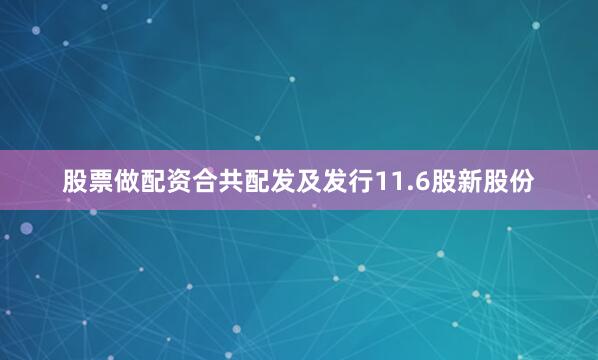 股票做配资合共配发及发行11.6股新股份