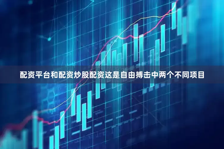 配资平台和配资炒股配资这是自由搏击中两个不同项目