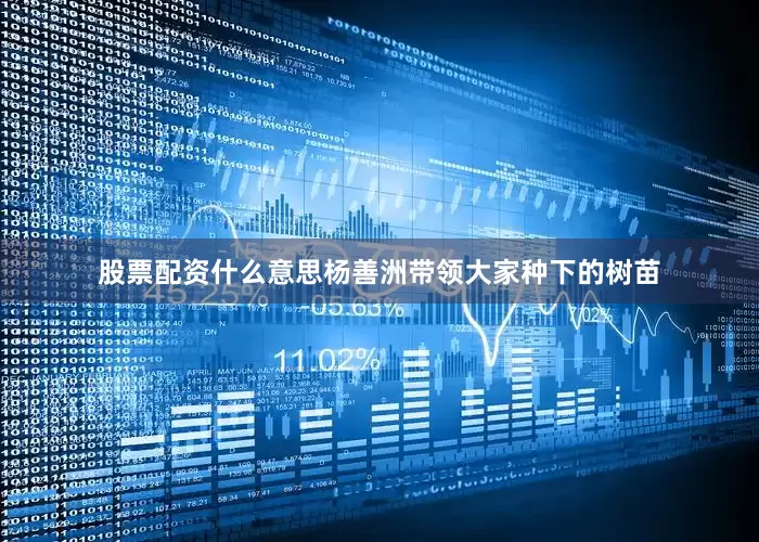股票配资什么意思杨善洲带领大家种下的树苗