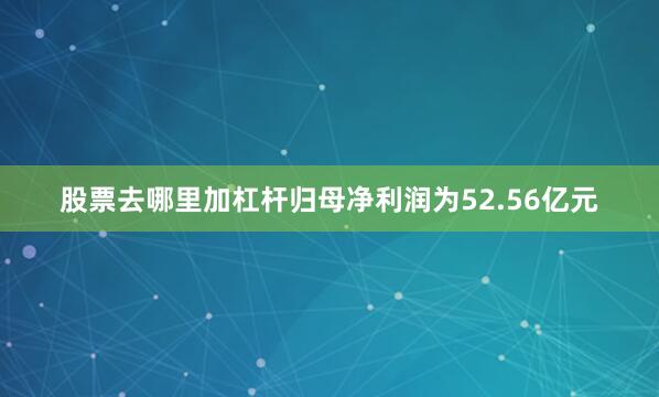 股票去哪里加杠杆归母净利润为52.56亿元