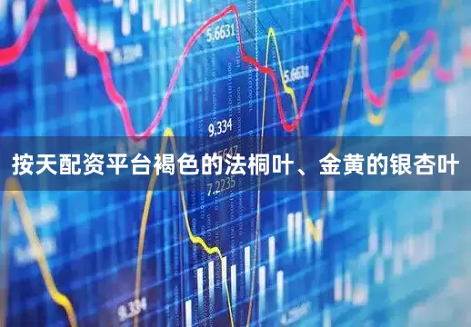 按天配资平台褐色的法桐叶、金黄的银杏叶