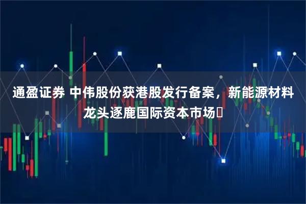 通盈证券 中伟股份获港股发行备案，新能源材料龙头逐鹿国际资本市场​
